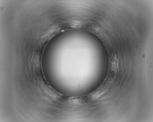 X0000089400620200706151228