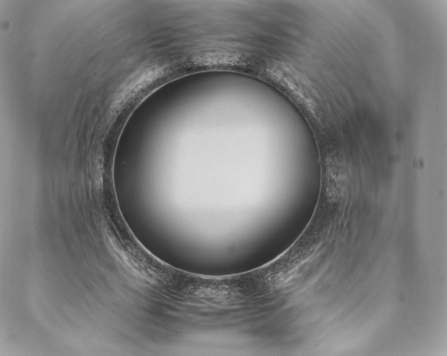 X0000089400631200706151227