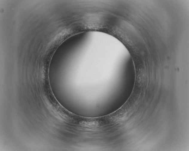 X0000089400639200706151227