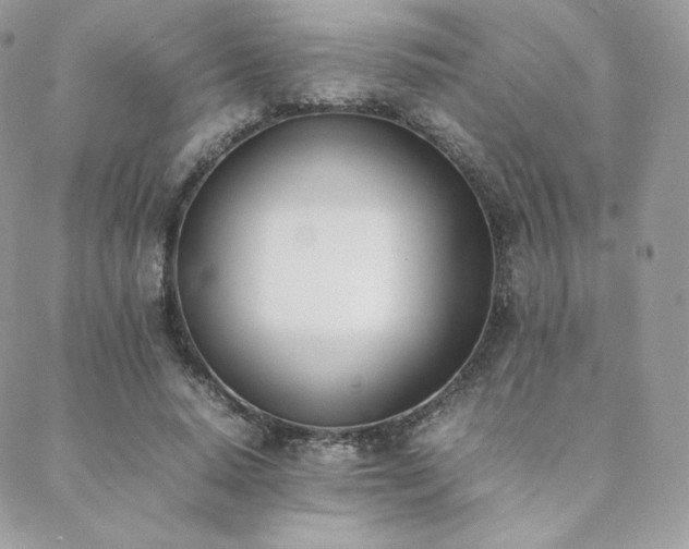 X0000089400640200706151228
