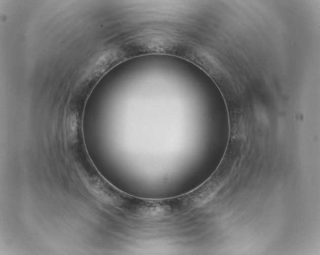 X0000089400646200706151228