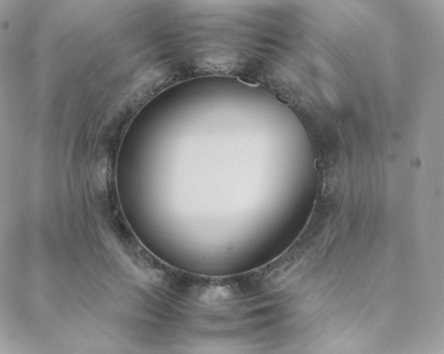 X0000089400647200706151228