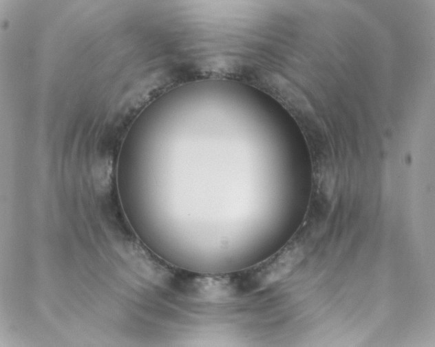 X0000089400660200706151228