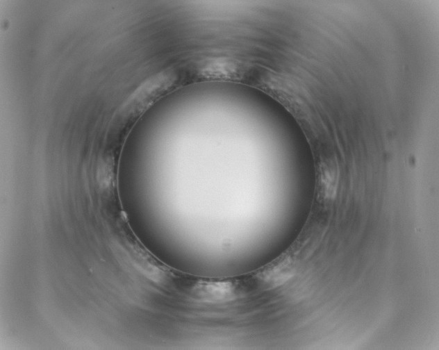 X0000089400665200706151228