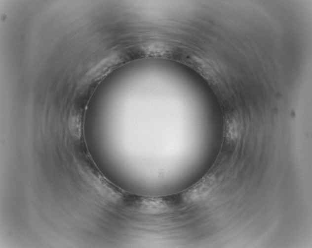 X0000089400666200706151228