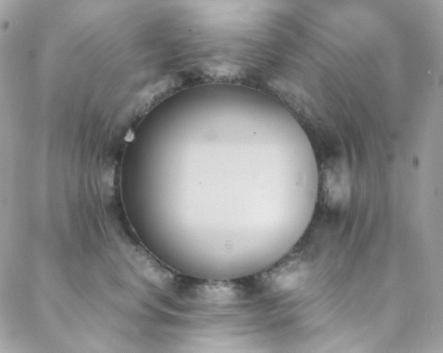X0000089400668200706151228