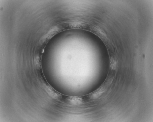 X0000089400670200706151228