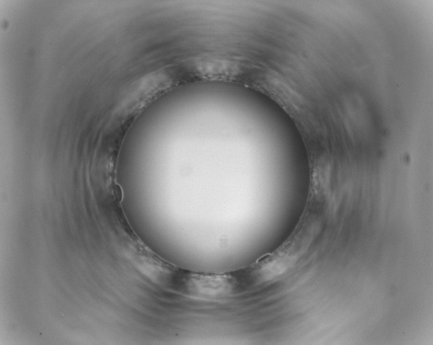 X0000089400671200706151228