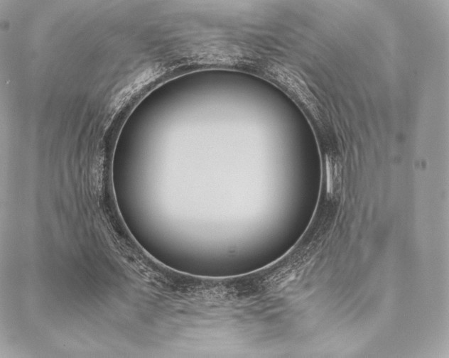 X0000089400675200706151227