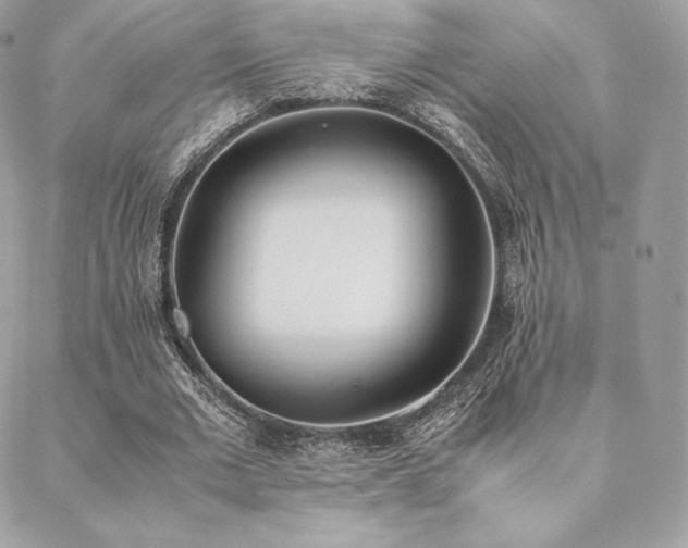 X0000089400677200706151227