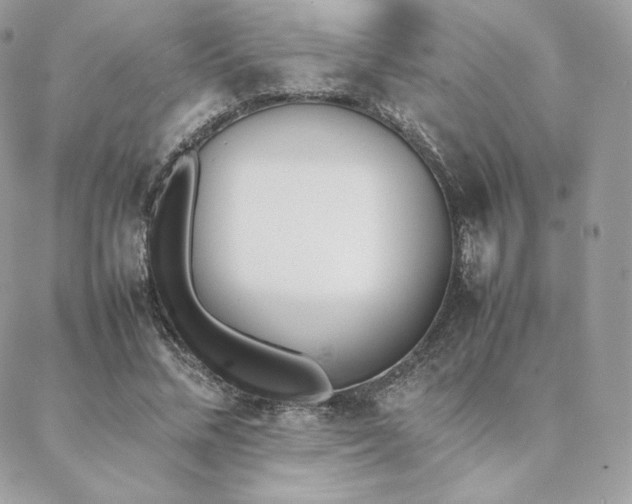 X0000089400684200706151227