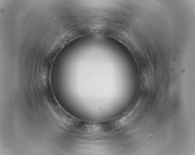 X0000089400698200706151227