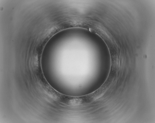 X0000089400700200706151227