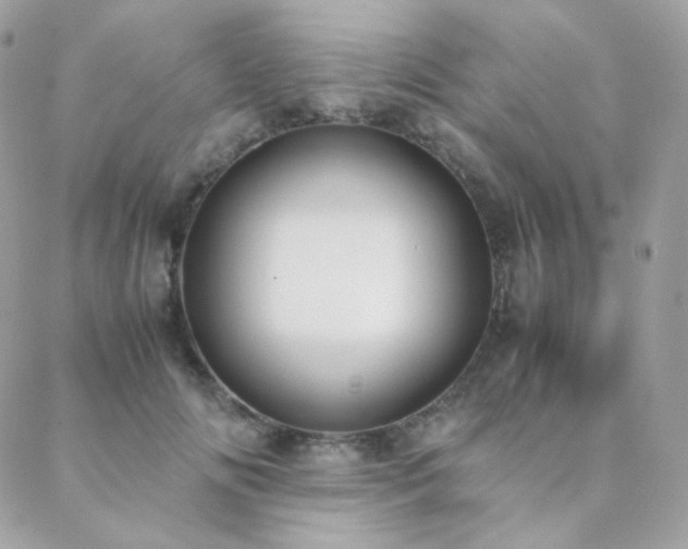 X0000089400702200706151227