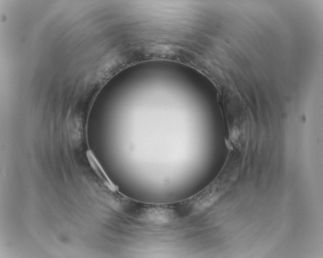 X0000089400708200706151227