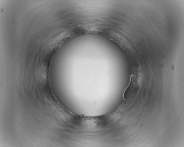 X0000089400710200706151227