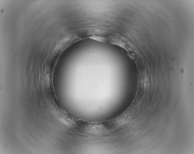 X0000089400716200706151227