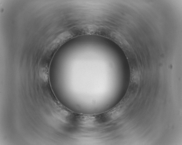 X0000089400719200706151226