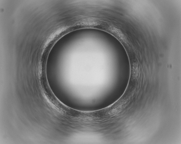 X0000089400726200706151226