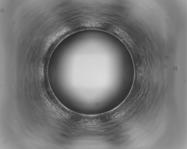 X0000089400727200706151226
