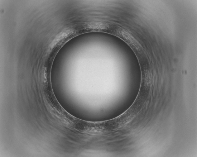 X0000089400731200706151226