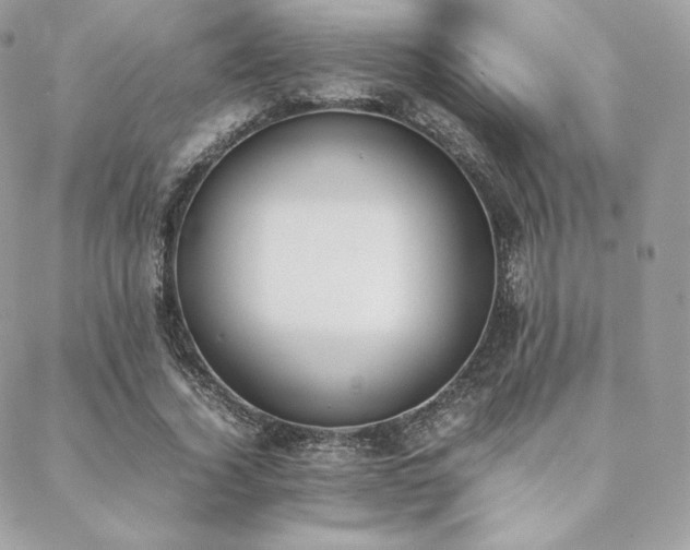 X0000089400732200706151226
