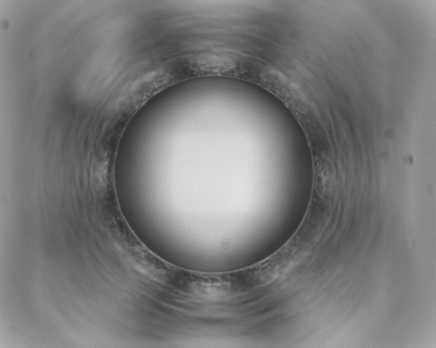 X0000089400745200706151226