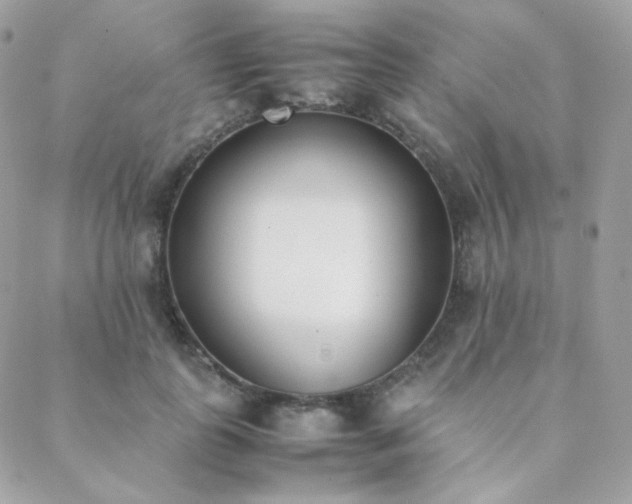 X0000089400747200706151226
