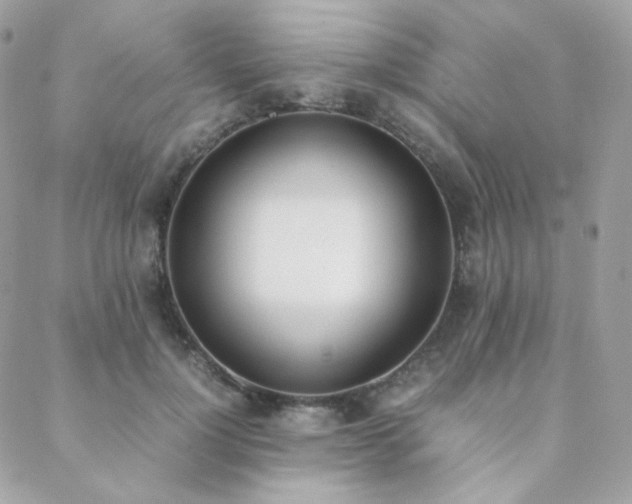 X0000089400748200706151226