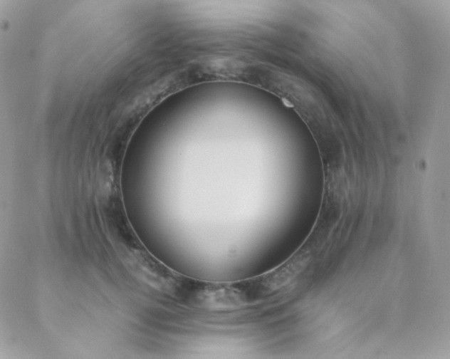 X0000089400752200706151226