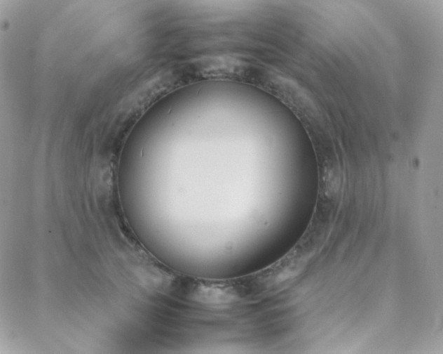 X0000089400753200706151226