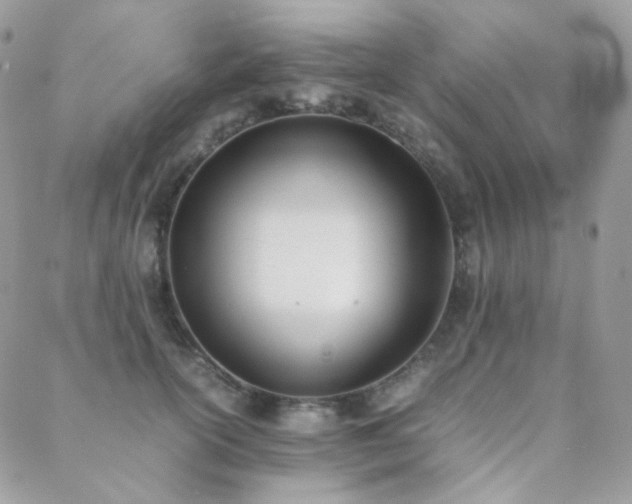X0000089400754200706151226