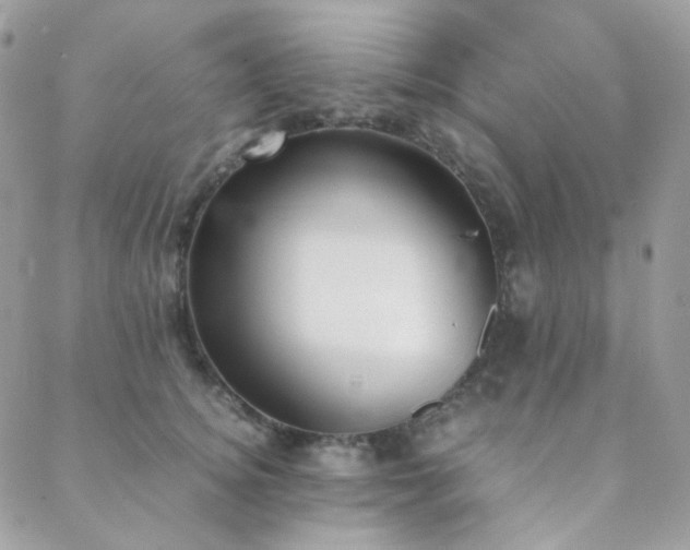 X0000089400756200706151226