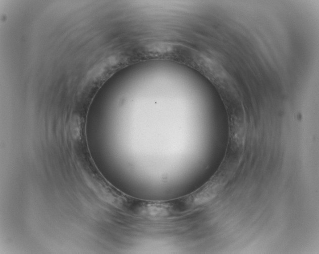 X0000089400758200706151226