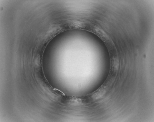X0000089400760200706151226