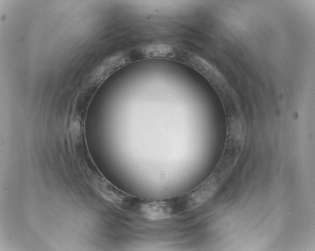 X0000089400761200706151226