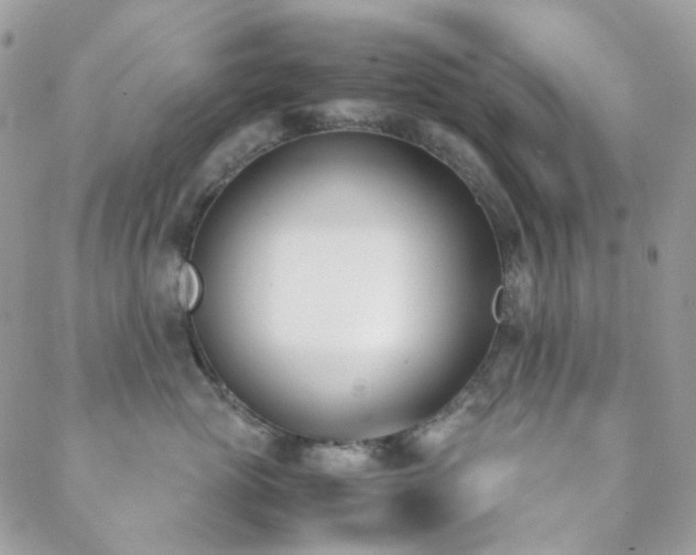 X0000089400765200706151226