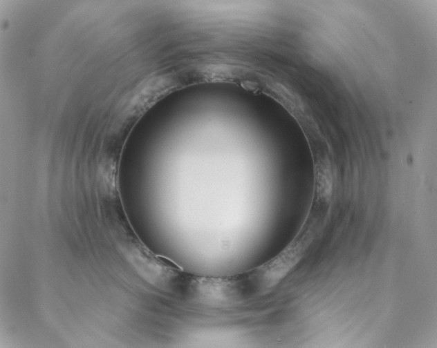 X0000089400766200706151226