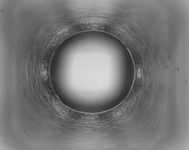 X0000089400771200706151226