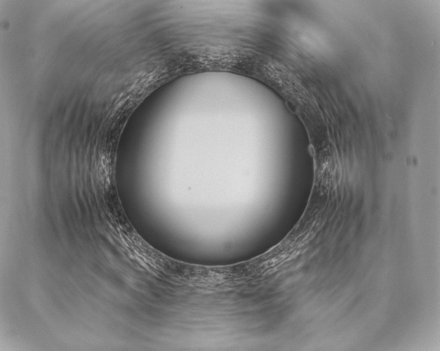 X0000089400772200706151226