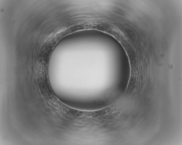 X0000089400773200706151226