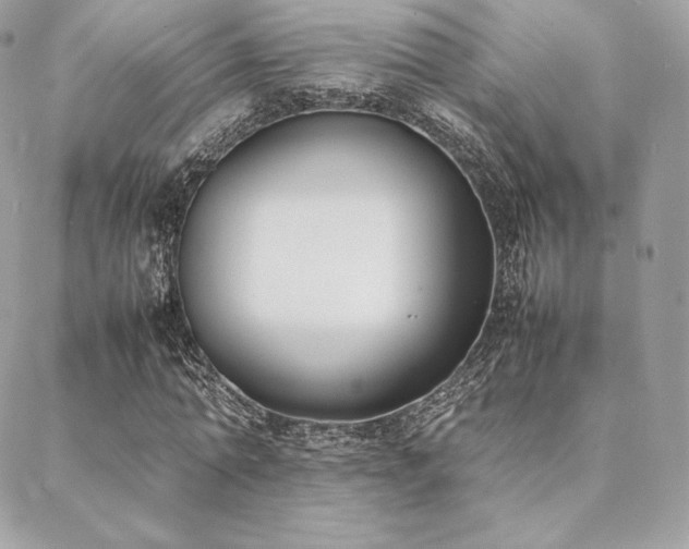 X0000089400774200706151226
