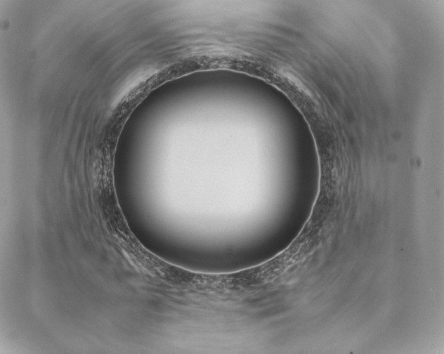 X0000089400775200706151226