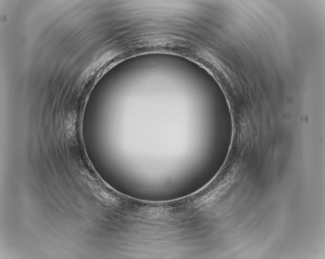 X0000089400778200706151226