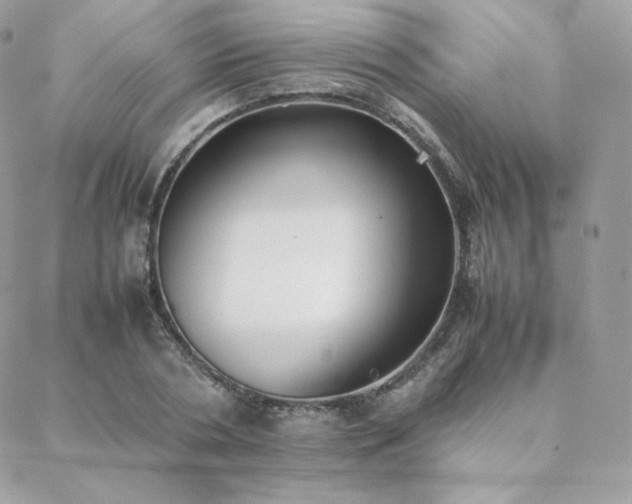 X0000089400786200706151225