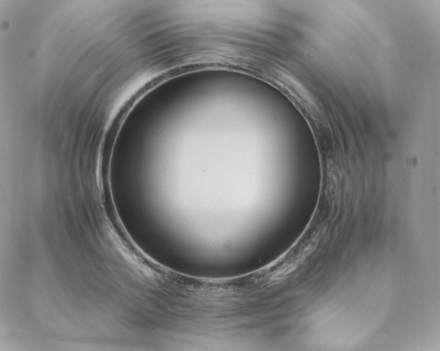 X0000089400788200706151225