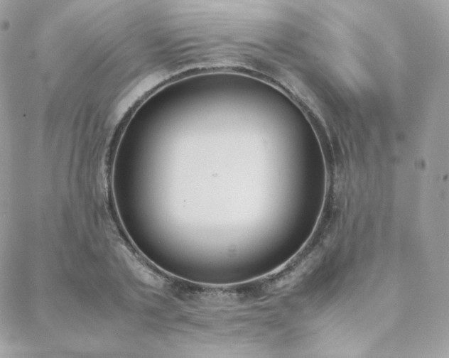 X0000089400789200706151225