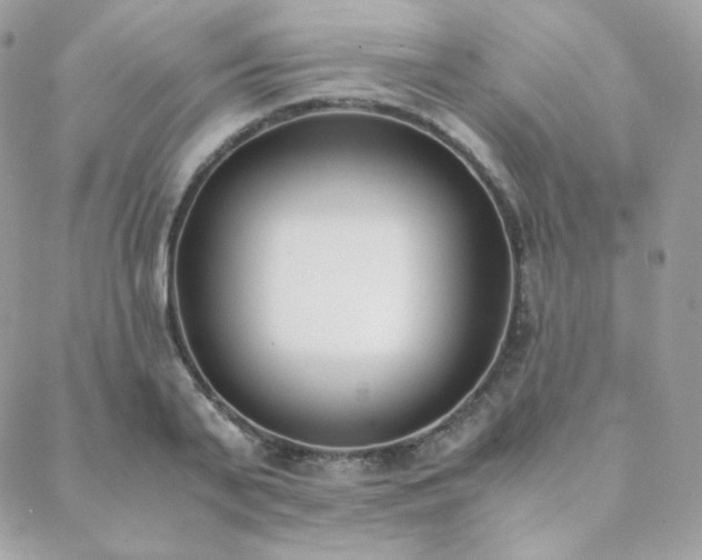 X0000089400791200706151225