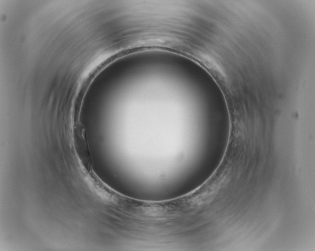 X0000089400792200706151225