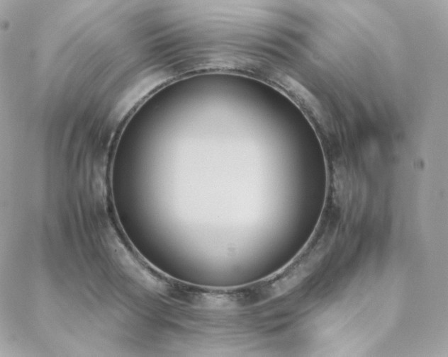 X0000089400794200706151225